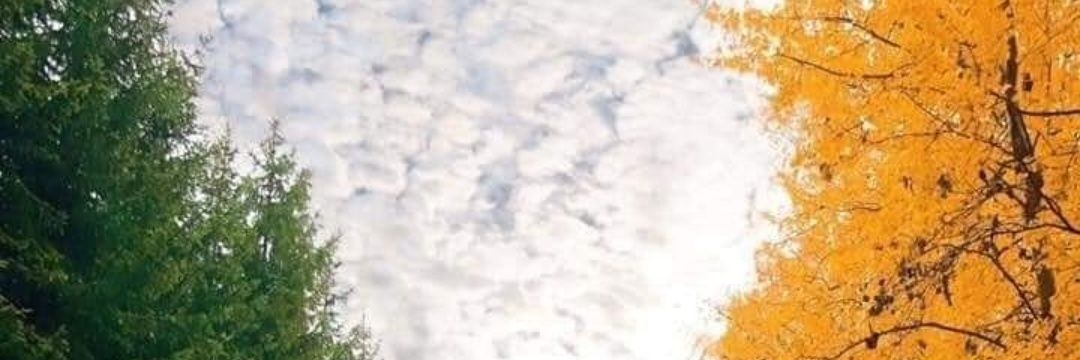 Andy banner
