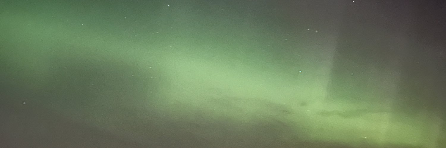LittleECerny's profile banner image