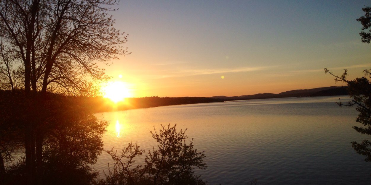 edonnellynelson's profile banner image