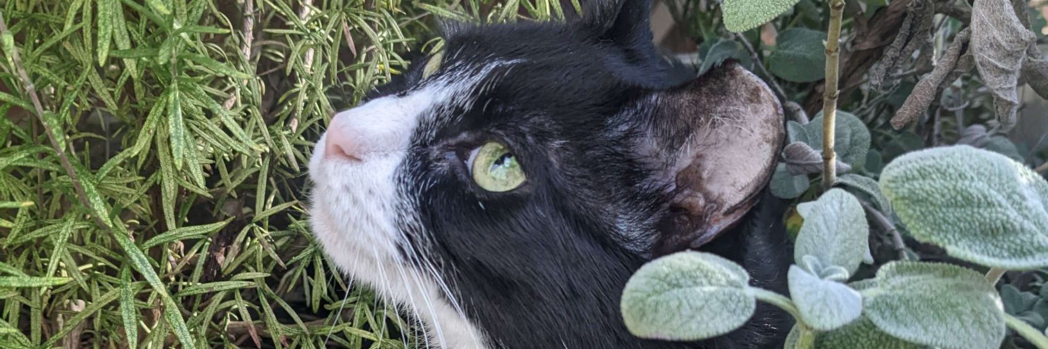 NickArbeiter's profile banner image