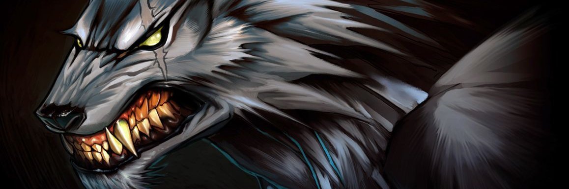 nermin172's profile banner image