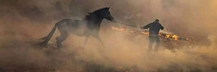 abussssaud's profile banner image