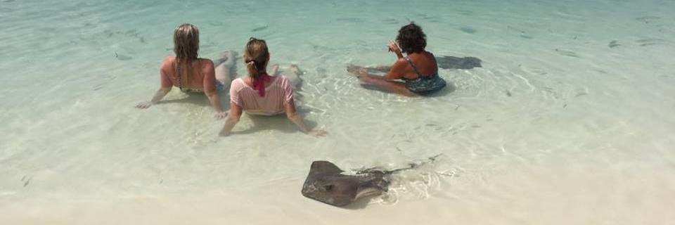 Emma-Jane Norman banner