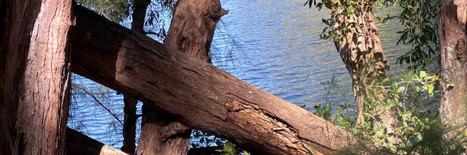 PeterCitelli's profile banner image