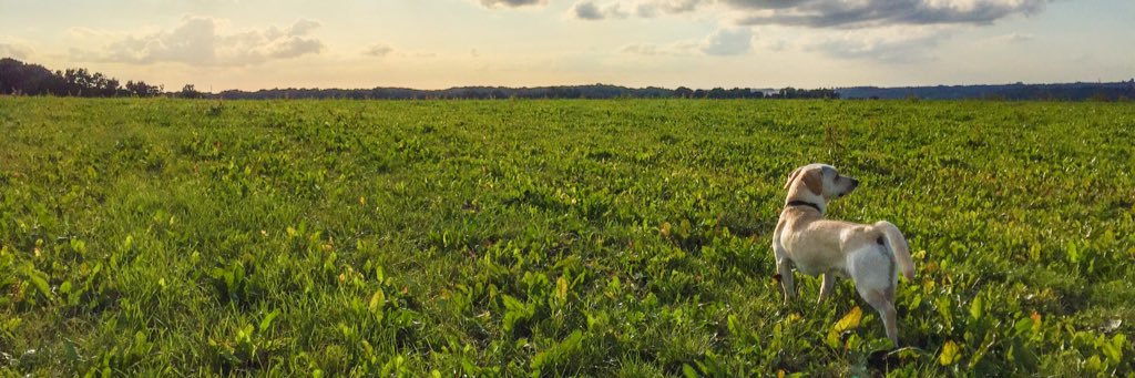 Edward van Kempen banner