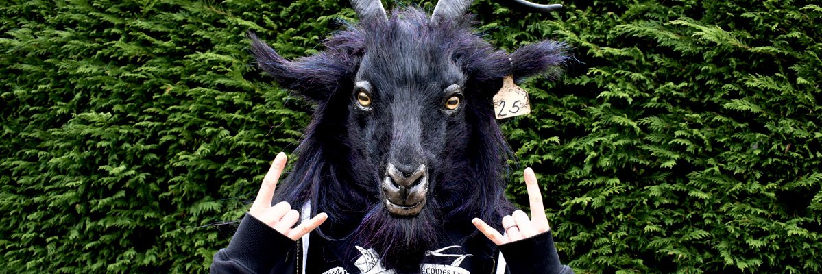 Anticarnist's profile banner image