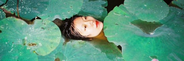 chinesechica's profile banner image
