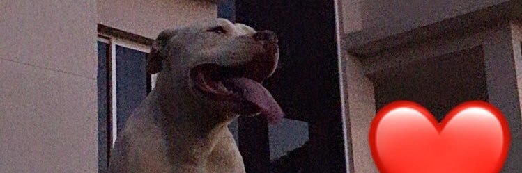 andrei_iuri's profile banner image