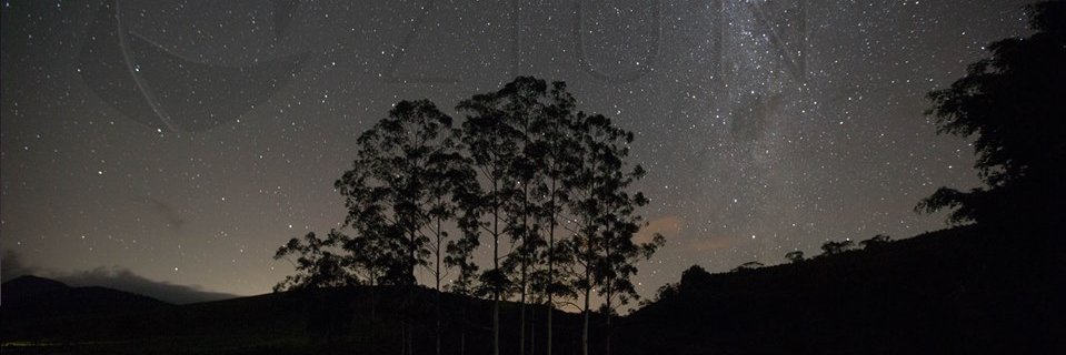 ocaraleal's profile banner image