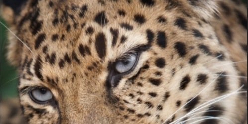 AmberBraamse's profile banner image