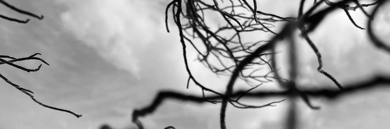 Sau__'s profile banner image