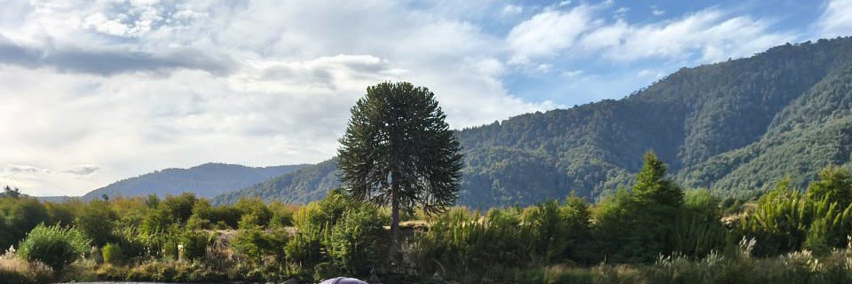 Valuper30's profile banner image