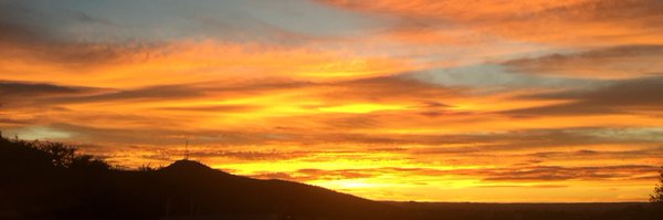 Linny_Vanilli Profile Banner