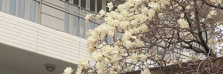 cercwl's profile banner image