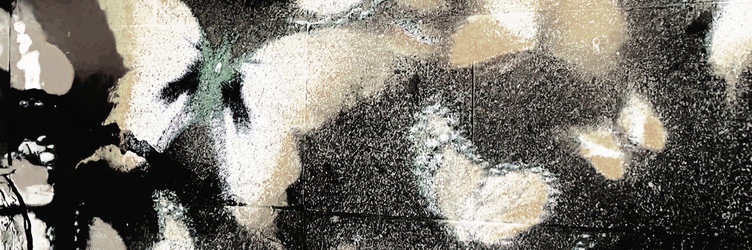 yoonchse's profile banner image