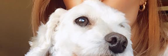 martinaborque's profile banner image