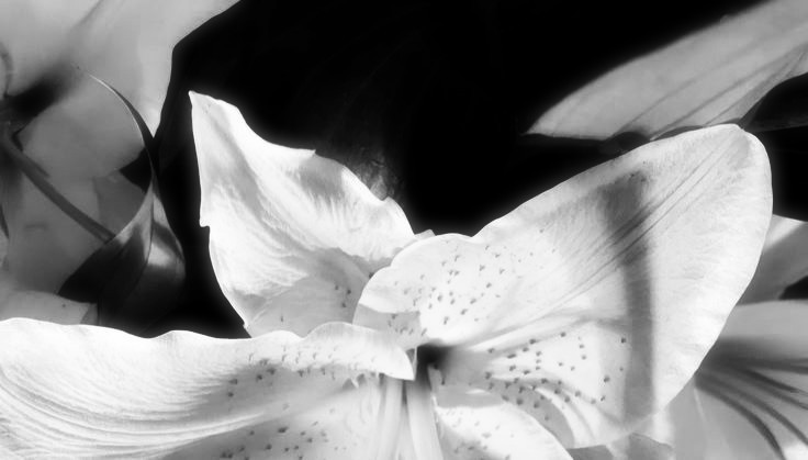 MERAJOE RATU. banner