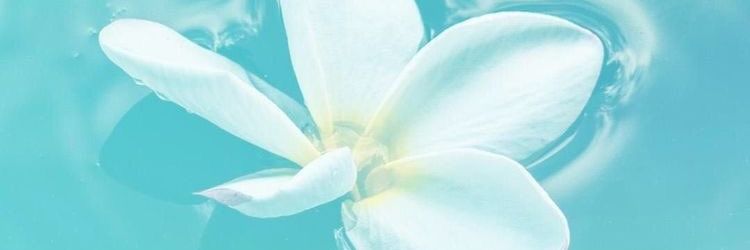 ❤️❤️❤️ banner