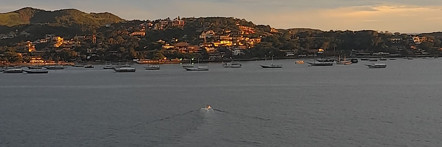 Caritodamiani's profile banner image