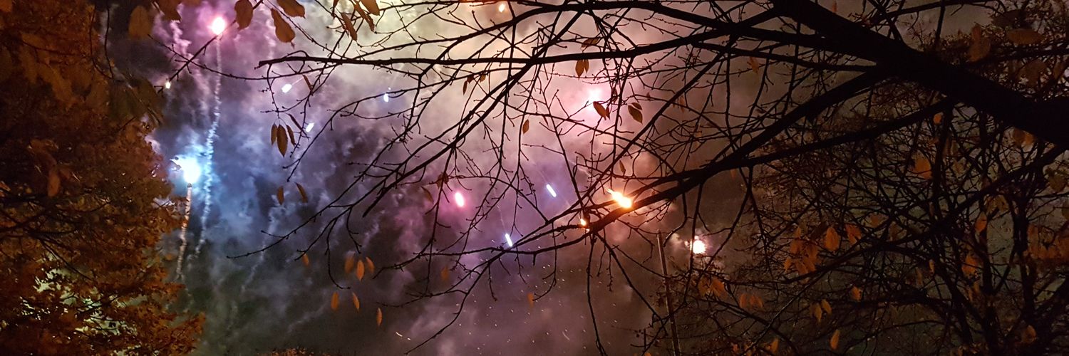 Maxine Webster banner