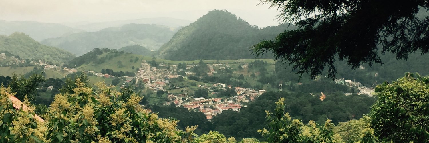 dora_nely's profile banner image
