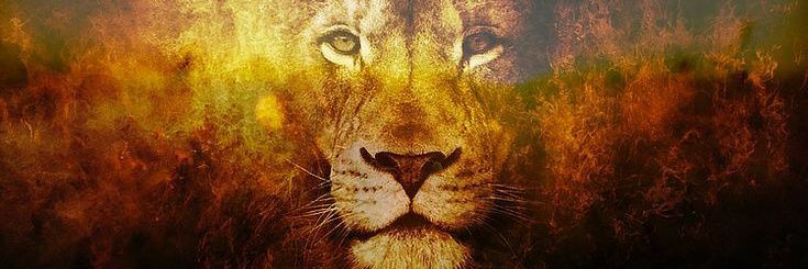 Seba_Tejada_'s profile banner image