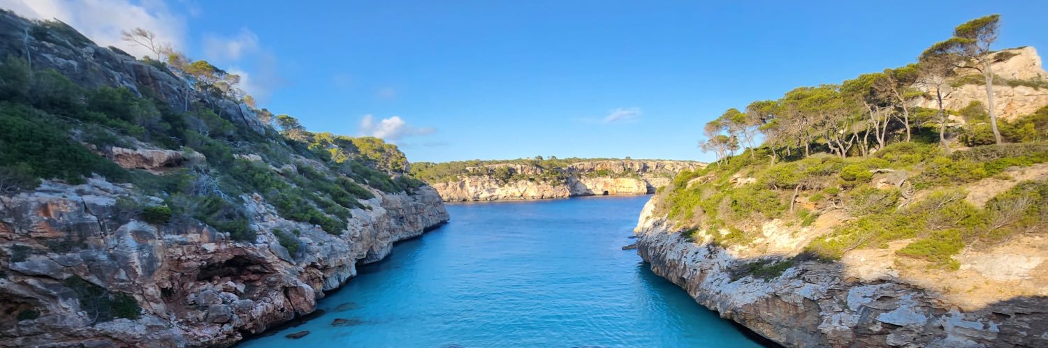 William Fernandez banner