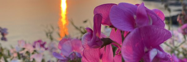 korisidaway Profile Banner