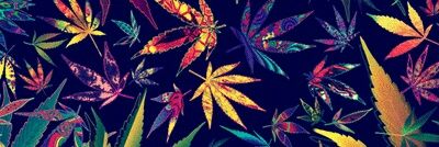 bubunumbanine9's profile banner image