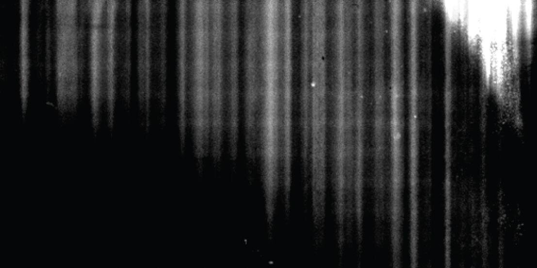 unitedghosts's profile banner image