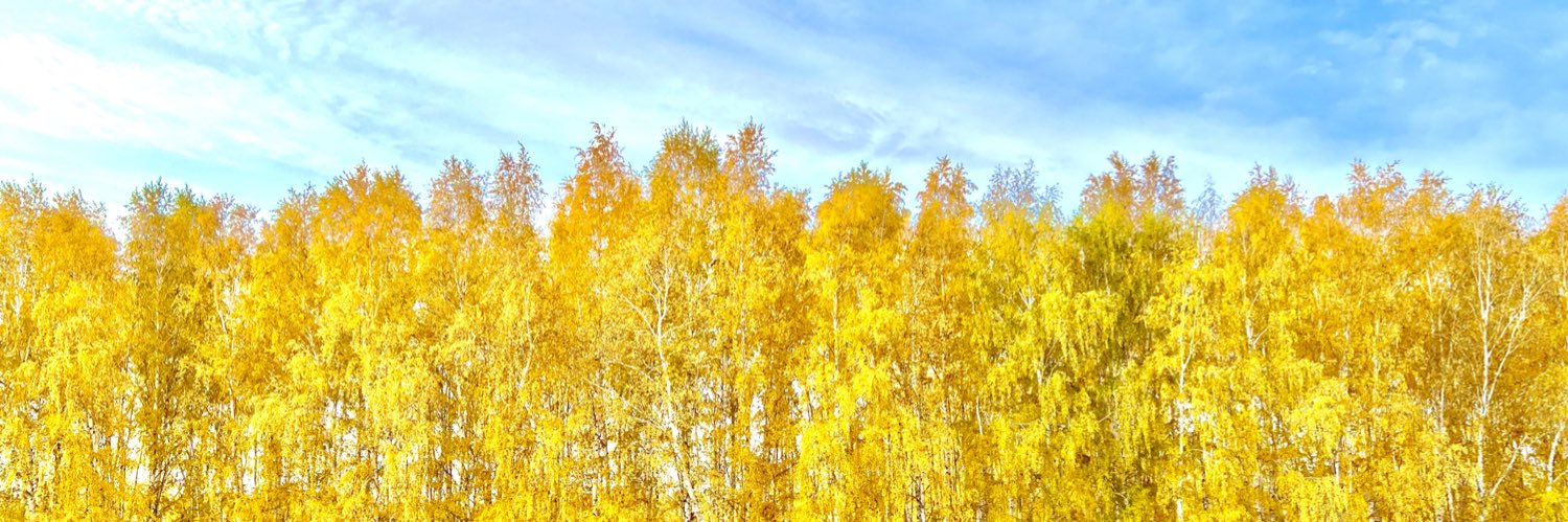 MARKREMINE's profile banner image