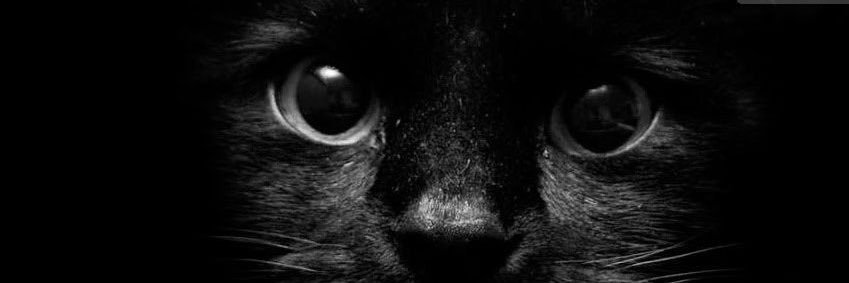 ItsLibbae's profile banner image