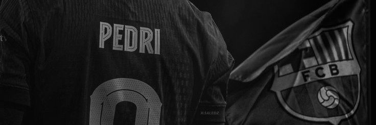 Dreiw's profile banner image