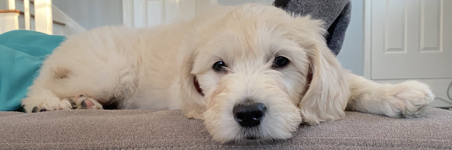 Kellee Khalil banner