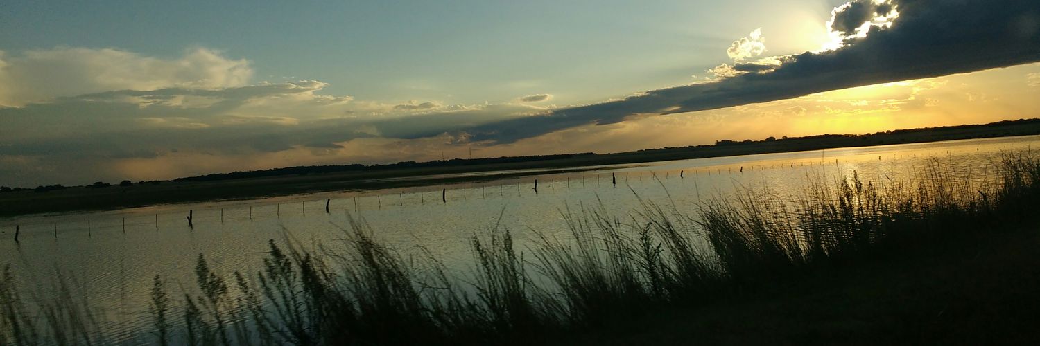ydaug14's profile banner image
