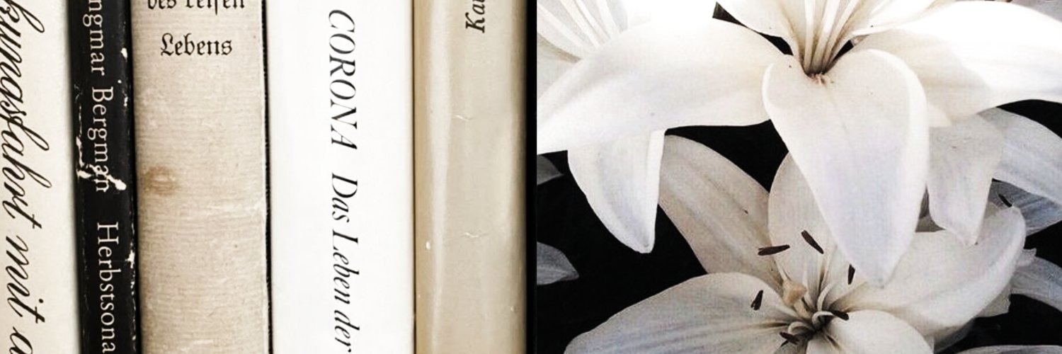 𑣿 banner