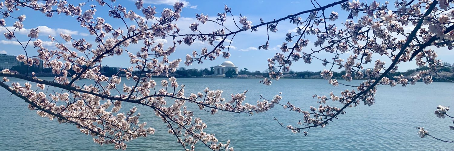 Colleen Moore banner