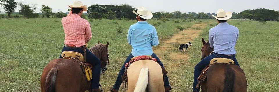 lfertalavera's profile banner image