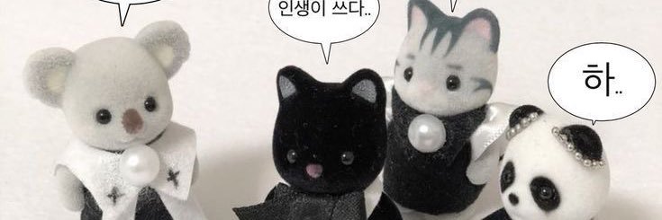 WonheeLiebe's profile banner image