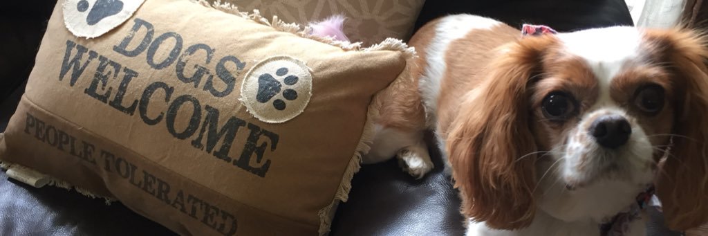 emma_leigh__'s profile banner image