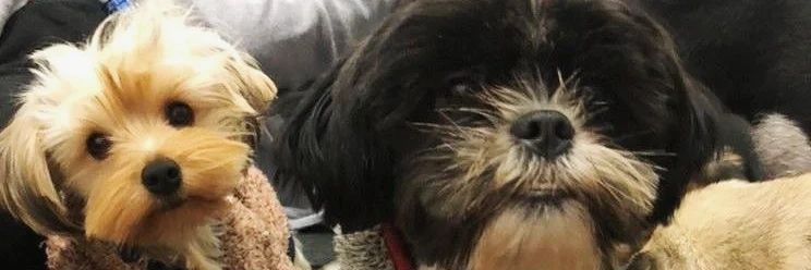 GaybrielFM's profile banner image