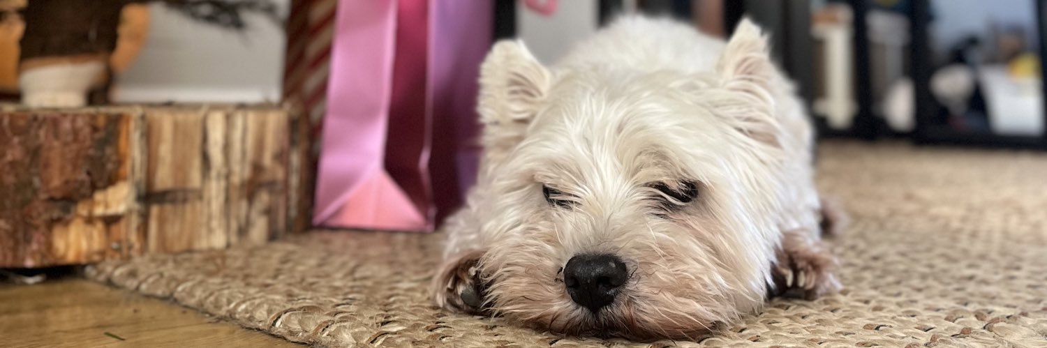 Kerry Edwards banner