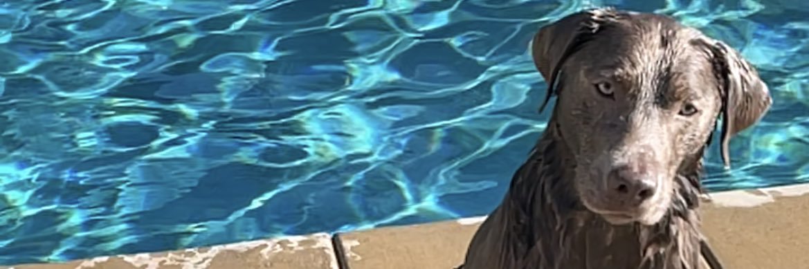 katiergilbert's profile banner image