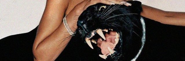 ysabxl's profile banner image