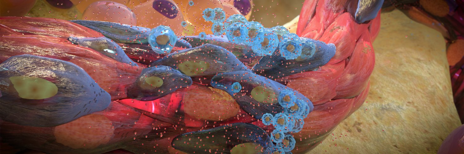 Angiocrine's profile banner image