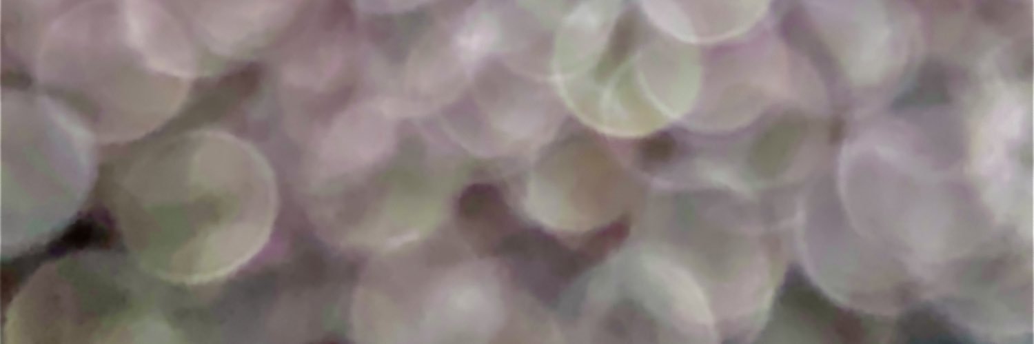 Jeremy Goldberg banner