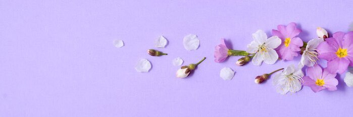 addiismithh's profile banner image