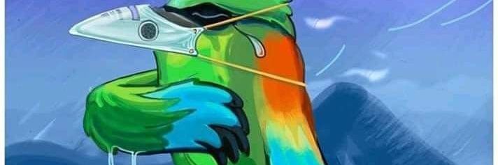 sigaran79's profile banner image