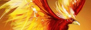Bodycurll's profile banner image