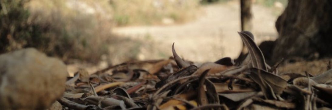 Migel955's profile banner image
